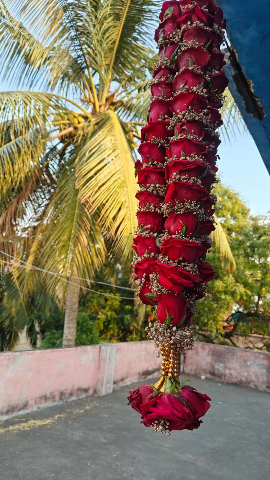 Thick hanging garland of red roses and baby's breath ending in a gold-wrapped cluster of red roses.