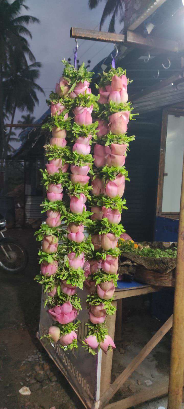 Pink lotus bud garlands with green leaves hanging at a roadside stall.