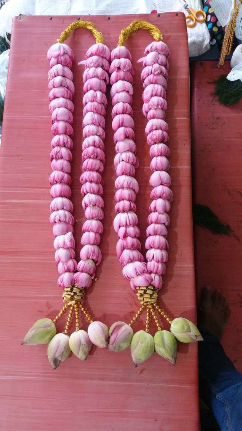 Pair of closed pink lotus garlands with gold hangers and gold-cone tassels of lotus buds, on a red board.